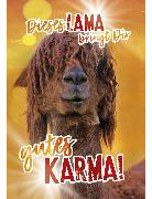 Soundkarte A4 Lama