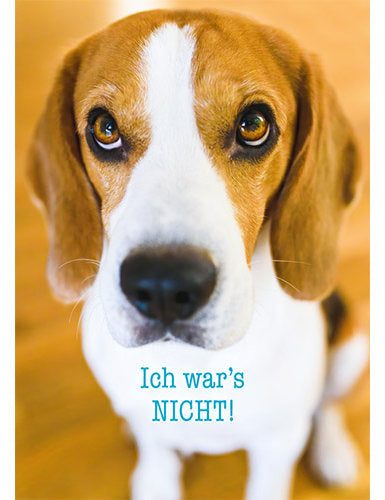 ich war`s NICHT!