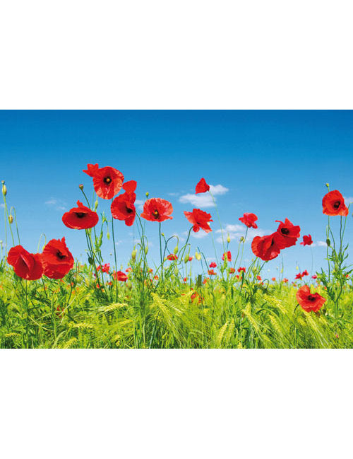 Doppelkarte.Emotion Blanko