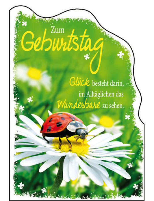 Geburtstag