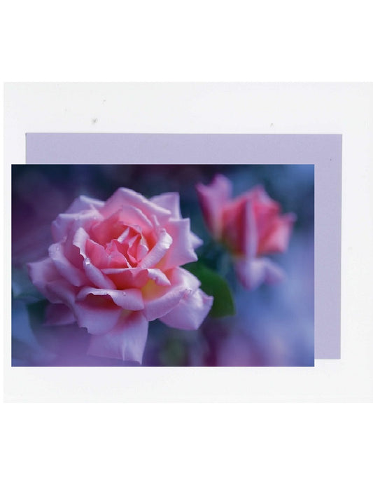 Doppelkarte. Foto Rose