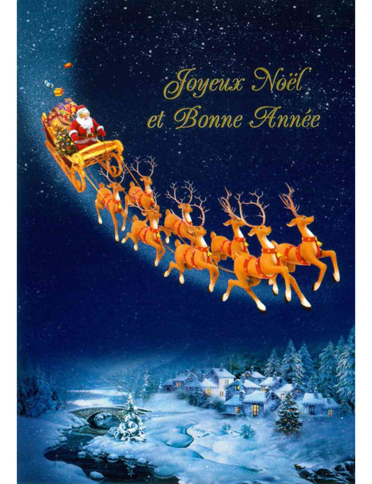 Carte double. Joyeux Noël et Bonne Année