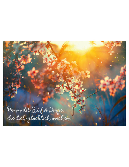 Postkarte. Kultura / Weisheiten/Sprüche / Quer