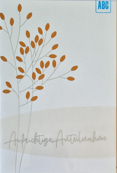 Aufrichtige Anteilnahme (B6)