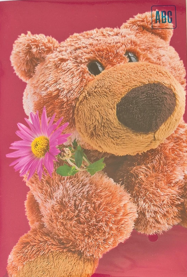 Teddybär (B6)