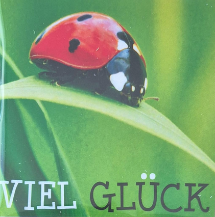 Viel Glück (8 x 8 cm)