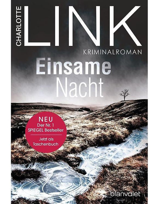 Einsame Nacht