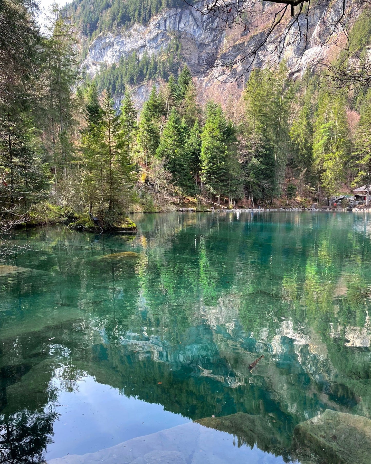Elsita Jewelry Blausee Light inspiration featuring the clear turquoise waters and pine forest of Blausee in Switzerland