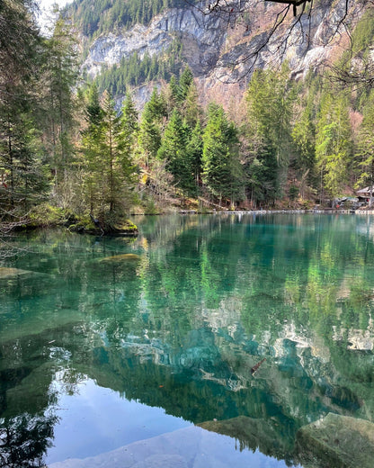 Elsita Jewelry Blausee Light inspiration featuring the clear turquoise waters and pine forest of Blausee in Switzerland