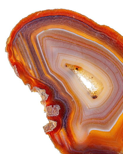 Elsita Jewelry Untamed necklace featuring a polished slice of banded orange, brown, and white agate mineral stone.